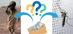 Help a starving person, or pay for mosquito nets?